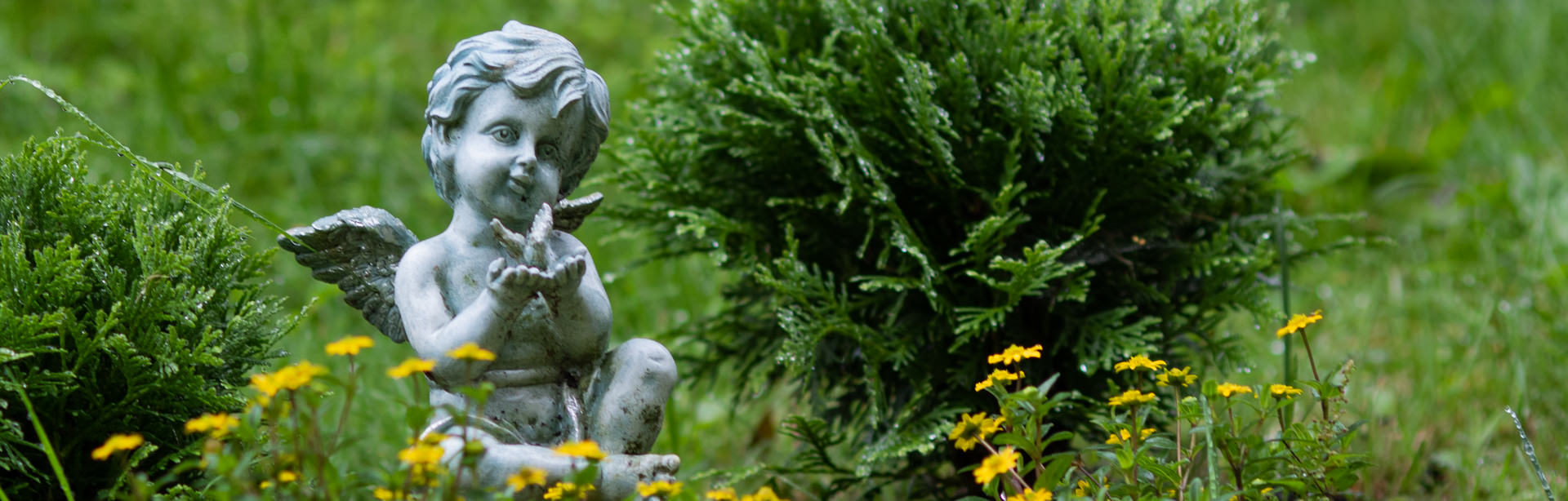 Ein Engel sitzt im Grünen