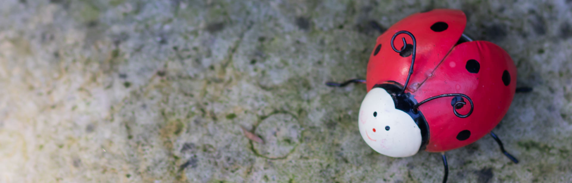 Marienkäfer-Figur