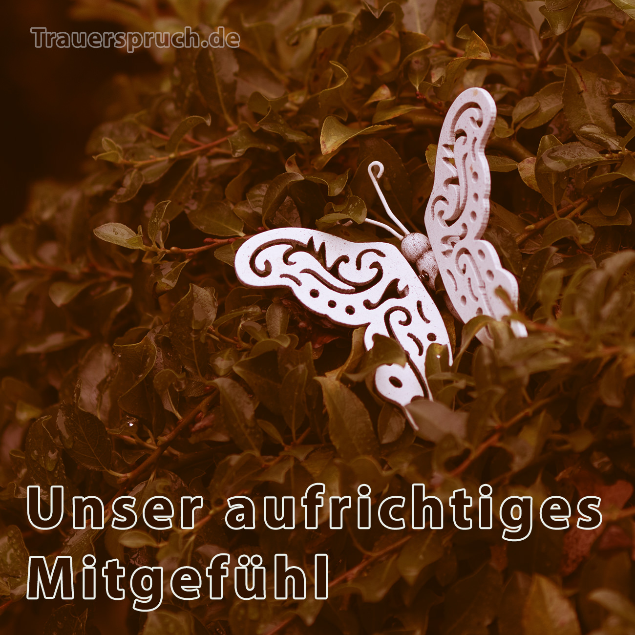 Grafik &ldquo;Unser aufrichtiges Mitgefühl&rdquo; | Trauerspruch.de