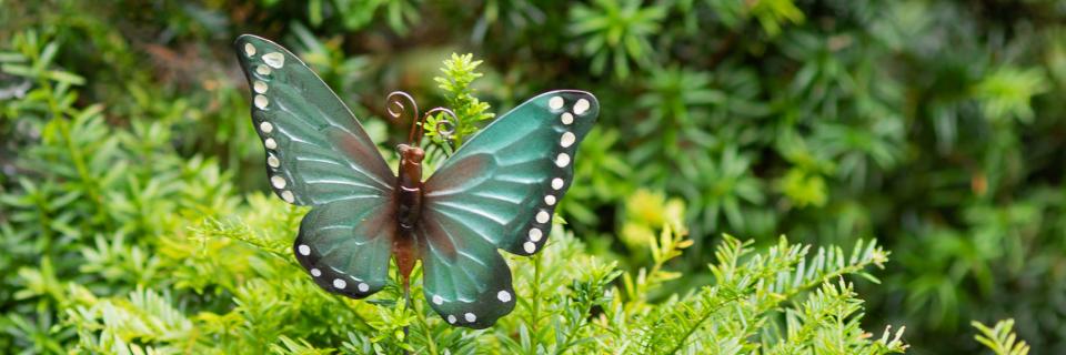 Symbolbild: Grüner Schmetterling