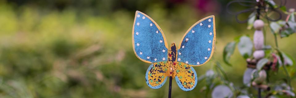 Symbolbild: Schmetterling