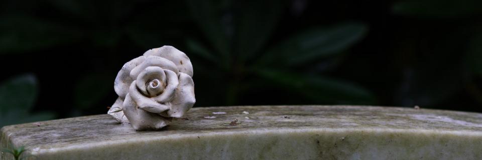 Symbolbild: Rose aus Stein